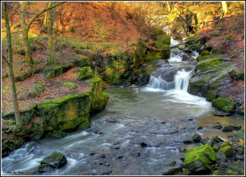 healey dell rochdale feb 2012.jpg